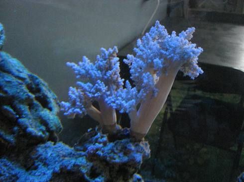 IMG_2692.JPG