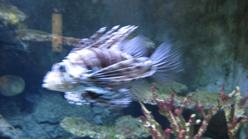 IMG_2409.JPG