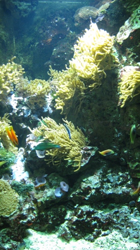 IMG_2415.JPG