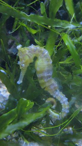 IMG_2432.JPG