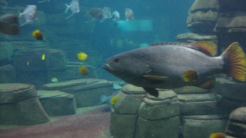 IMG_2445.JPG