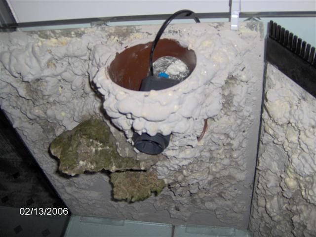 IM000409 (Small).JPG