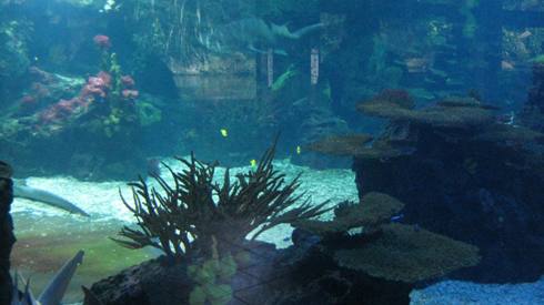IMG_2456.JPG