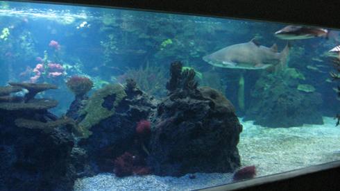 IMG_2468.JPG