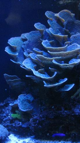 IMG_2532.JPG