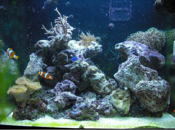 den nye stenopsætning