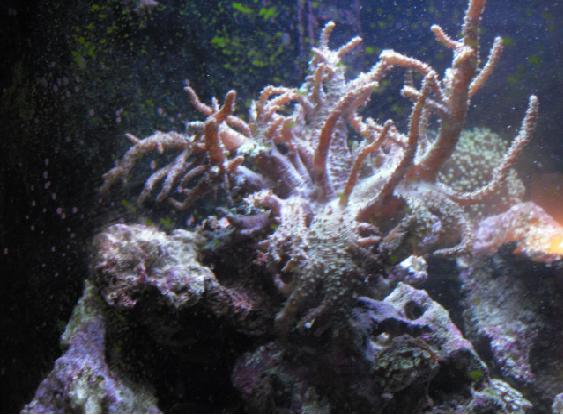 igen fra en anden vinkel