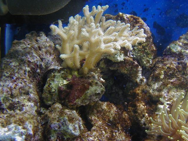 P1010003 (Small).JPG