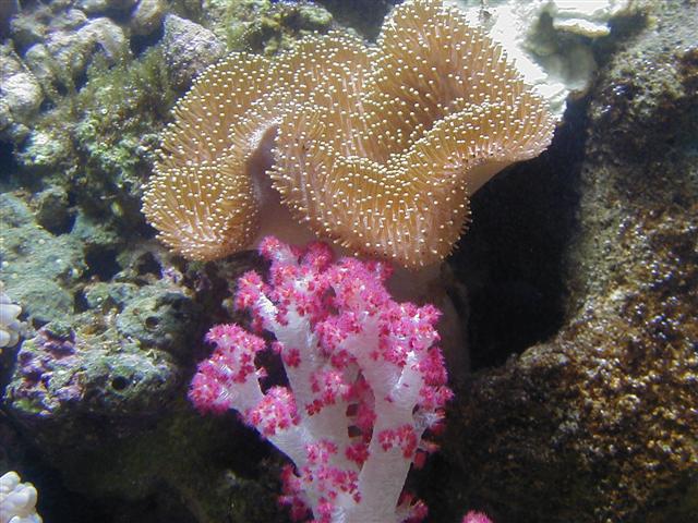 P1010019 (Small).JPG