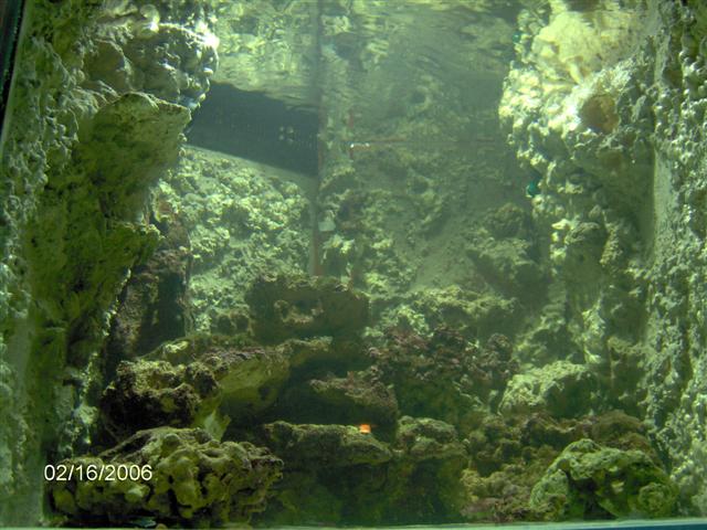 IM000416 (Small).JPG