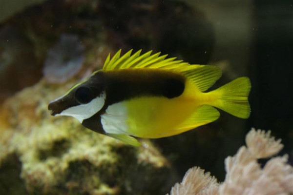 IMG_9496 (Medium).jpg