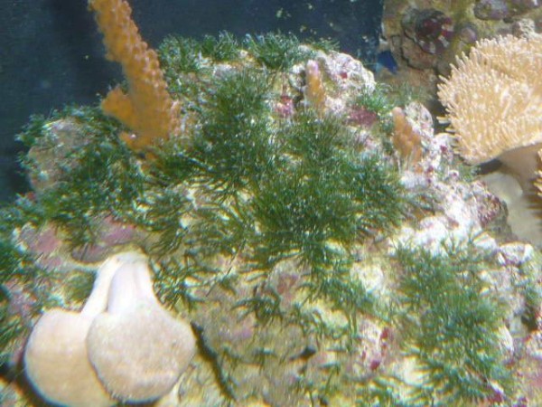 P1010675.JPG