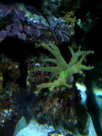IMG_6709.JPG