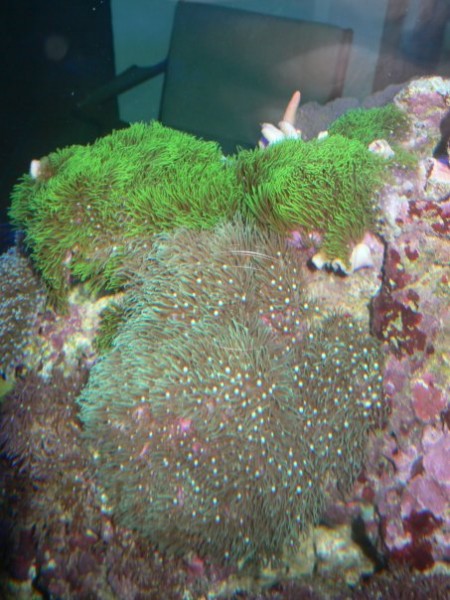 n539379100_1166688_6690.jpg