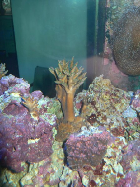 n539379100_1166689_7402.jpg