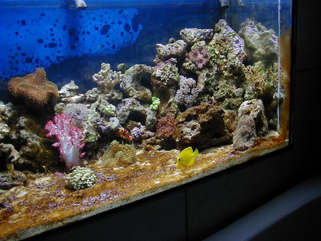 P1010016 (Small).JPG