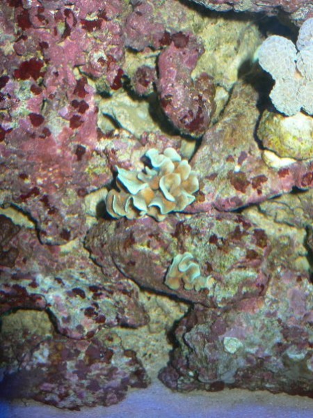 n539379100_1166698_2855.jpg