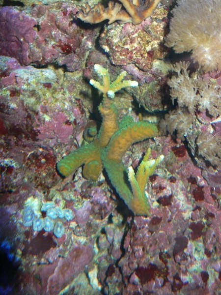 n539379100_1166699_3578.jpg