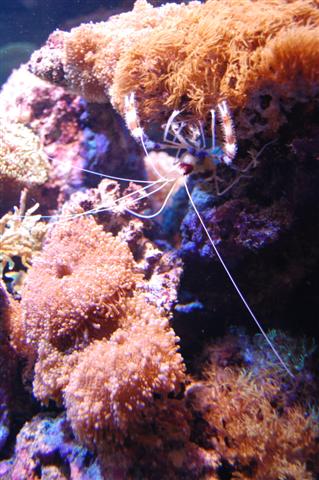 DSC_0013 (Small).JPG
