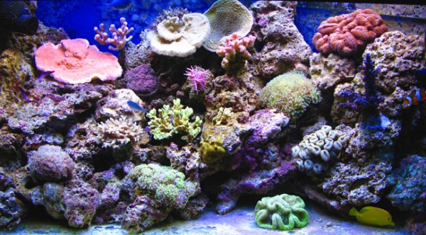 akv19-1-09.jpg