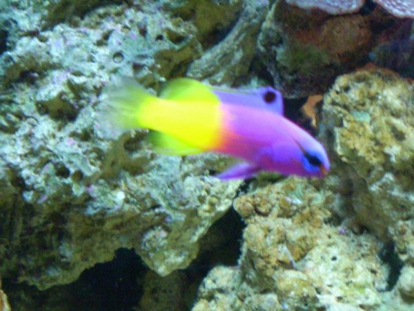 059 [DVD (NTSC)].JPG