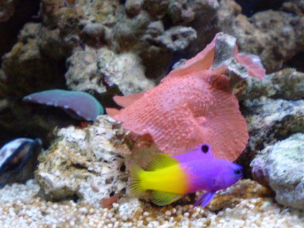 067 [DVD (NTSC)].JPG