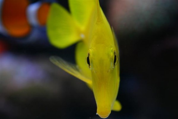 Billede 073 (Small).jpg