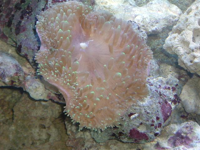 DSCF0564 (Small).JPG