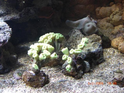 CIMG1607 (Small).JPG