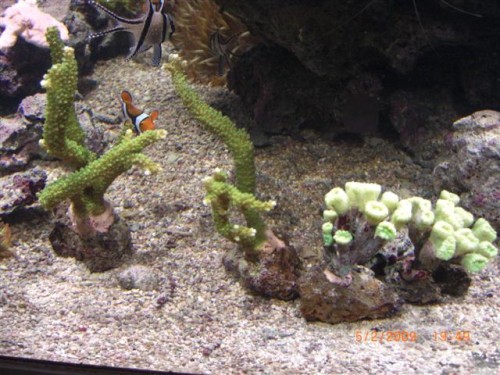 CIMG1614 (Small).JPG