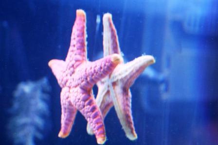 IMG_1447.JPG