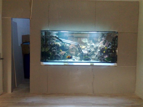 010220092010 (Large).jpg