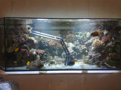 060220092042 (Medium).jpg