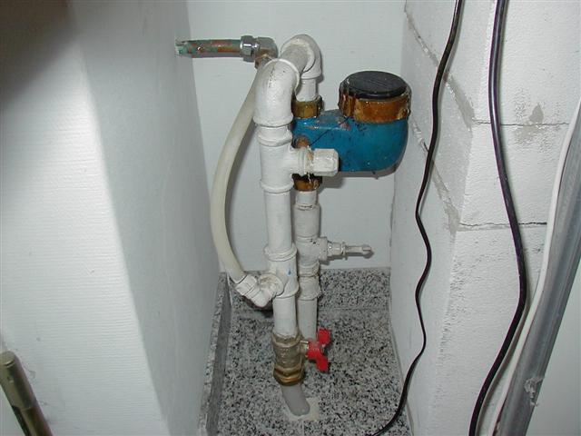 P1010024 (Small).JPG