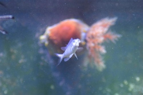 Salt 08-02-09 2 015 (Medium).jpg
