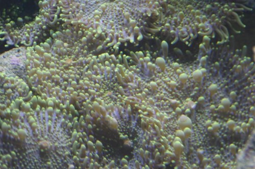 Salt 08-02-09 2 060 (Medium).jpg