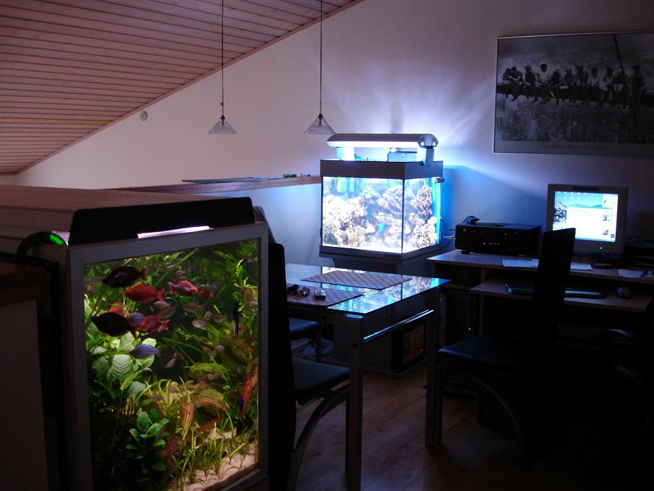 akvarie.JPG