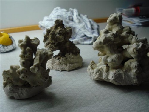 DSC00972 (Small).JPG