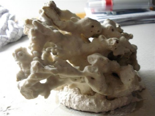 DSC00973 (Small).JPG