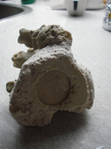 DSC00975 (Small).JPG