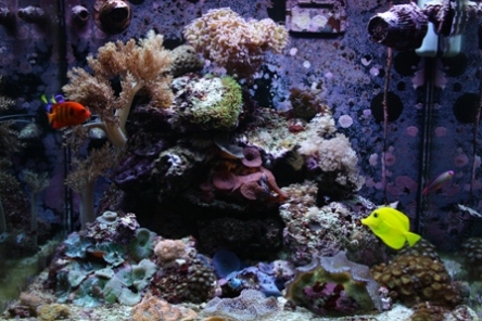 her har det kørt omkring 11 månder