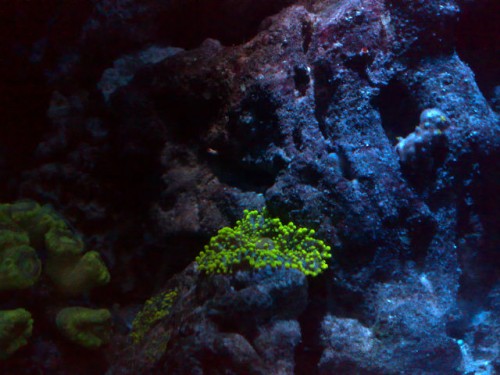 02012008077.jpg