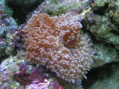 PICT0021.JPG