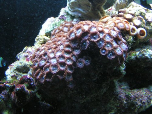 PICT0028.JPG