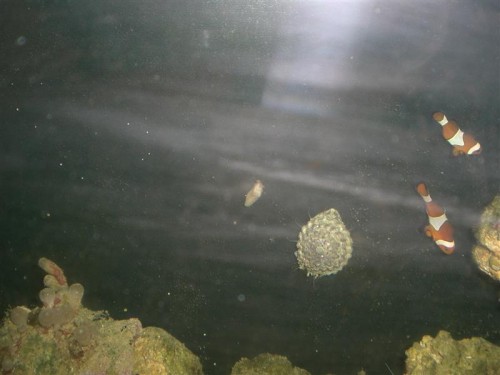 CIMG3445 (Medium).JPG