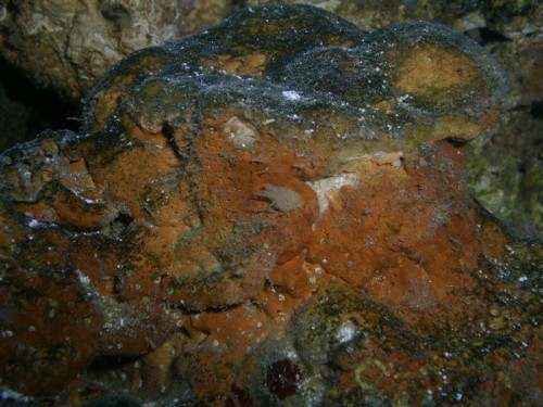 CIMG3450 (Medium).JPG