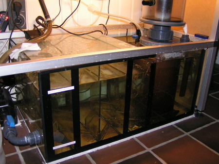 forum pic 9.jpg