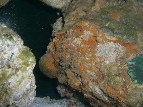 CIMG3447 (Medium).JPG