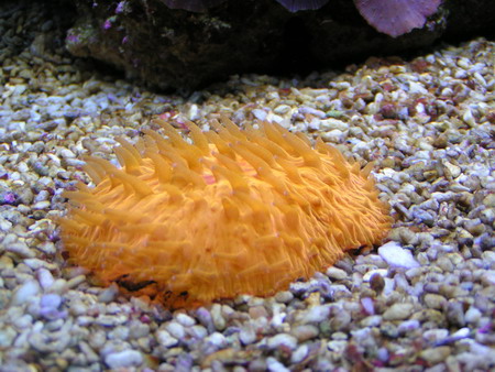 forum pic 10.jpg