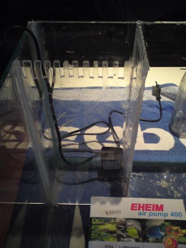 DSC00179.JPG (81.87 KiB) Vist 1562 gange limet sammen